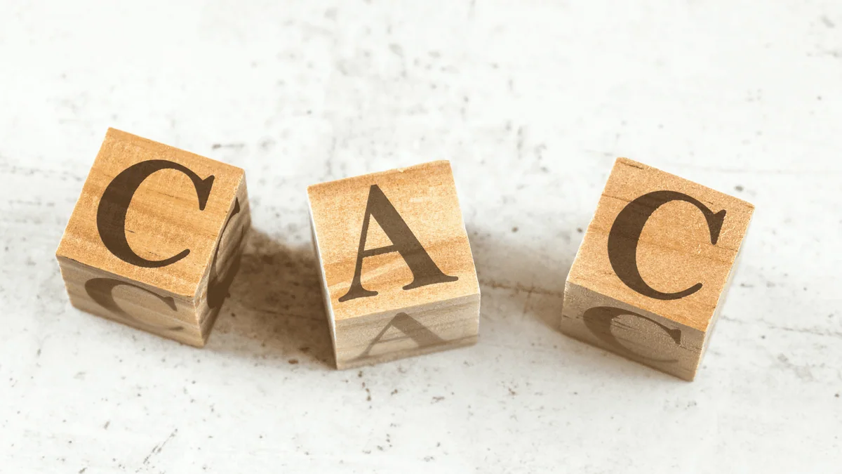 Ventia Group guide: Customer acquisition cost: how to calculate and improve it